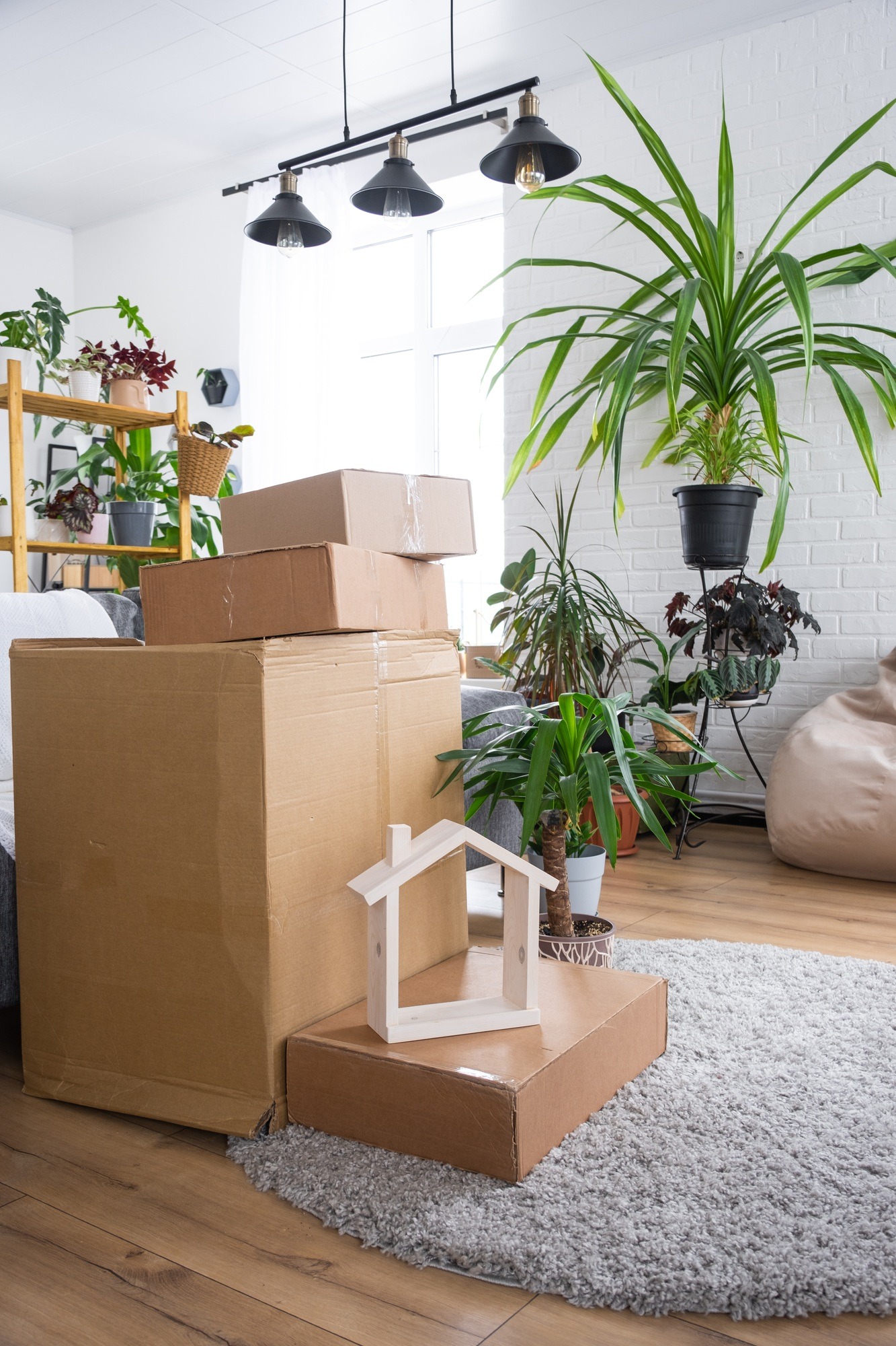 House removals london, boxes for moving and house plants are in the room of the new house. Housewarming, family